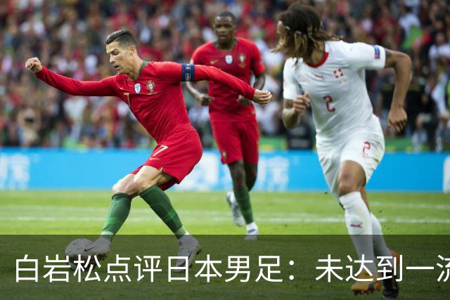 白岩松点评日本男足：未达到一流强队标准，仍需克服对荷兰的恐惧